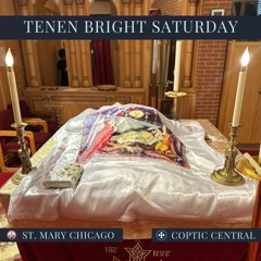 Tenen | Bright Saturday St. Mary Chicago