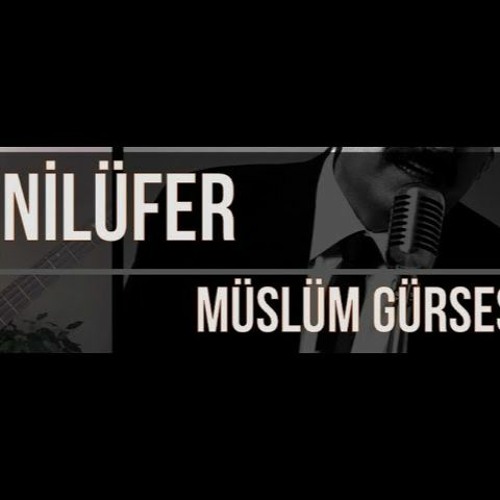 Stream Müslüm Gürses - Nilüfer (Flüt Cover) by Flütleme | Listen online for  free on SoundCloud