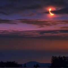 Save me } By Mvrrz ~ 🍃❤️‍🔥