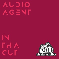 In Tha Cut 029 (DNBRadio 05-15-2022)
