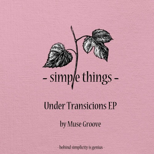 Premiere : Muse Groove - Tangerine (STUD032)