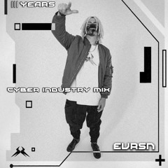 EVRSN - Pandemic 3 Years Cyber Industry Mix
