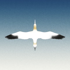 20syl & Christophe Panzani - Sula Bassana