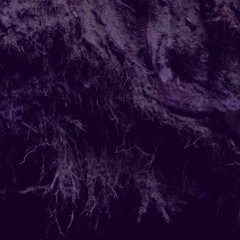 Deep Meditative Rest - Mixed