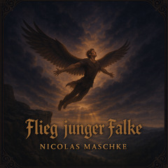 Flieg, junger Falke