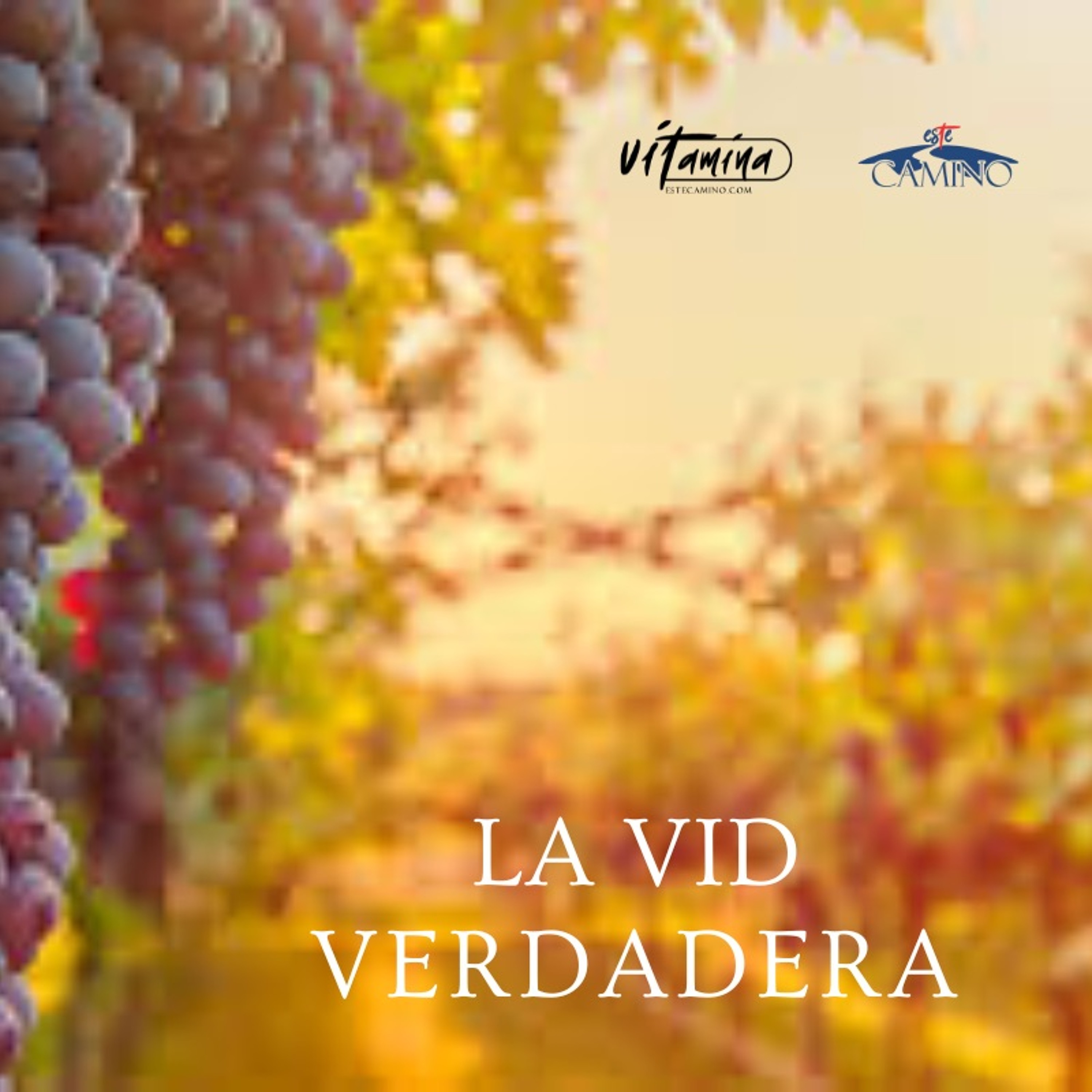 La vid verdadera,  Carmen Gloria episode artwork