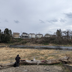 harmonize at the riverbed