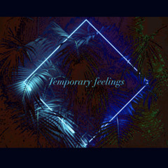Temporary Feelings (Liz Stroh, Isaac Stroh, and MYLZ)