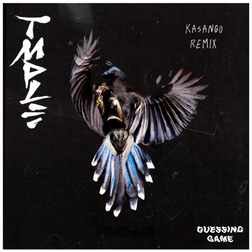 Guessing Game (Kasango Remix)