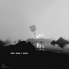 vowl., RYYZN, & REMNANT.exe - the way i was