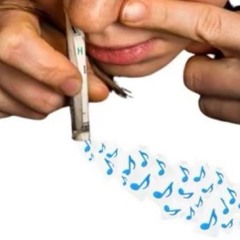 playlist in sharaga