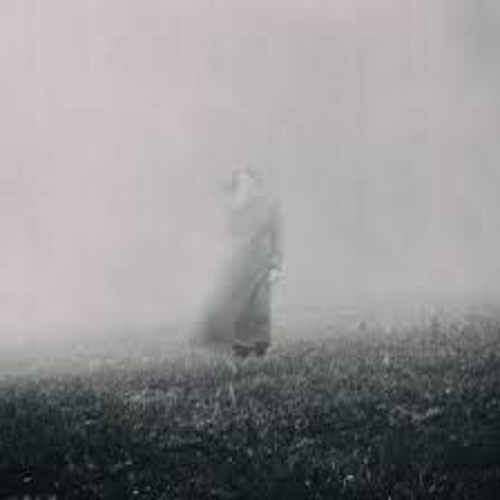 Fog