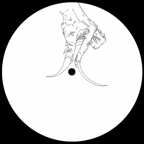Piezo - Odd Hooks [ANSIA006]