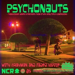 Brahman - Cruisin' (Prod. Faded Hippie & Brahman)