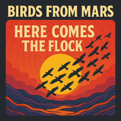 Here Comes The Flock