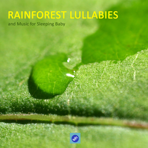 Above the Clouds with Rainforest Stream, Soothing Bubbling Brooke and Piano Music for Deep Sleep