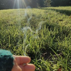 Half you, Half you again