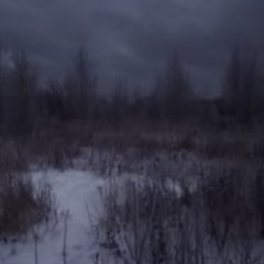 traveled mountains (999ines)