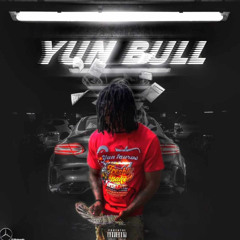 NLG YUN TAURUS - Came From Nothing