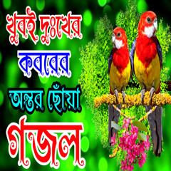 Kobor Teke Bolchi Maa Go Heart Touching Gazal