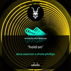Premiere: Dave Seaman & Shola Phillips - Hold On (AIKON Remix) [Selador]