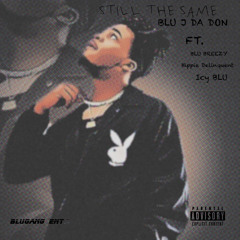MSD ( Blu Breezy