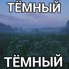ТЁМНЫЙ ТЁМНЫЙ (ver. для жопы)