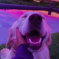 Purple Pupper Pup Laughing