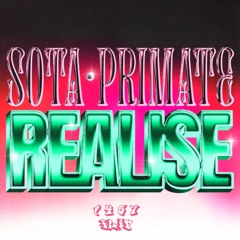 Sota, Primate - Realise (ONLY HARDBASS DROP - Fuckthis1457 Edit)