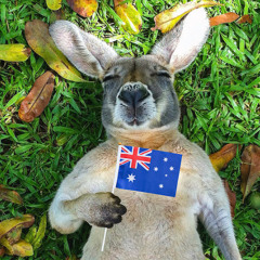 Sydney June 2014 Mix