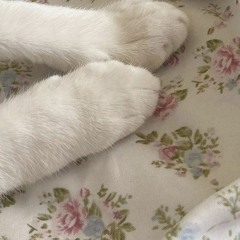 Crystal Castles–Empathy (slowed)🍰໒꒰ྀི ˵ˊᯅˋ˵ ꒱ྀི১