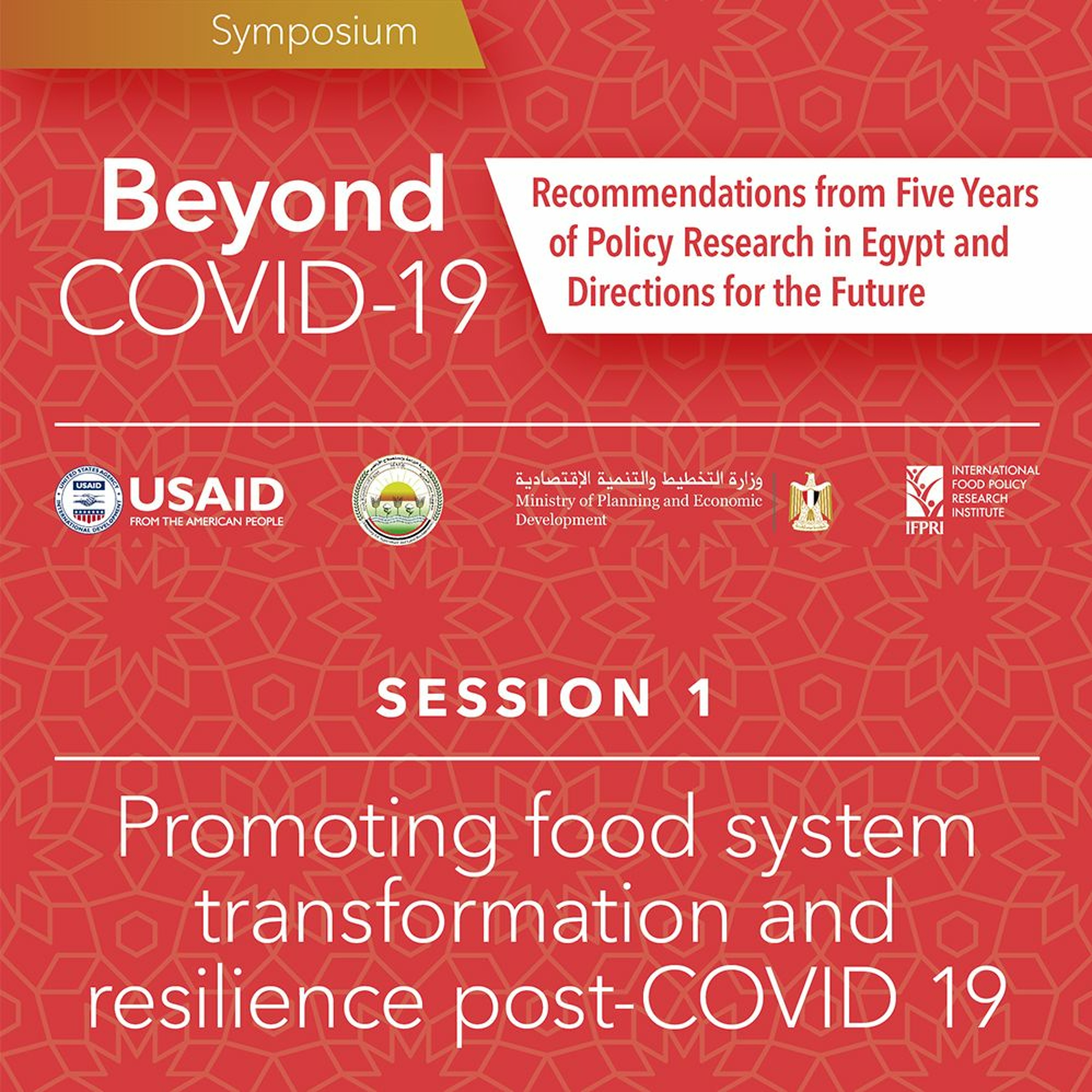 Session 1: Promoting food system transformation and resilience post-COVID 19 episode artwork