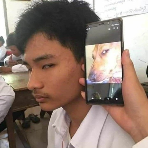 Untitled Playlist