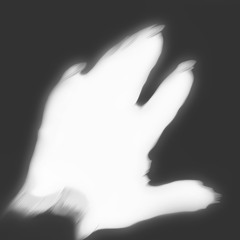 Foxes in the Food Waste