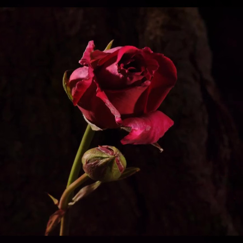 Kid Yugi x Andrea Bocelli, Giorgia - Vivo Per Lei (RMX)