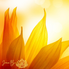 Sunflower Solstice Birdsong