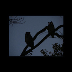 Dead Presidents Ft. Jerk