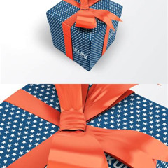 Geschenk Mockup Video Free Kostenlos Downloaden