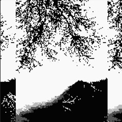 entropy