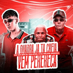 DJ Salatiel DJ Felipe Original e MC Mr Bim - A Quadra Já Tá Cheia - Vem Perereca