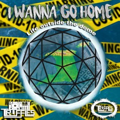 I Wanna Go Home