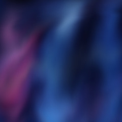 花と佇む雨の夜
