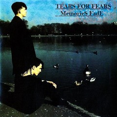 // MemorieS FadE // (TearS FOR FearS)