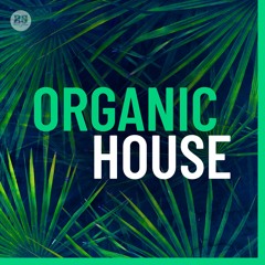 Organic House 2024 🎹 🌅 Burning Man - Tulum - Ibiza