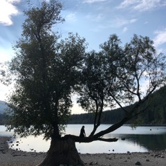 Song For 15 Sec Vid1