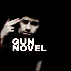 Gun Novel