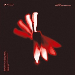 [LeeTeKK] - Karina Rose (170er) RMX