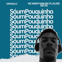SÓ UM POUQUINHO- MC MARY MAII & MC PL ALVES & MC FG