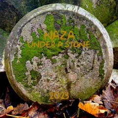 UNDER A STONE