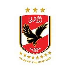 الأهلي كبناء اجتماعي